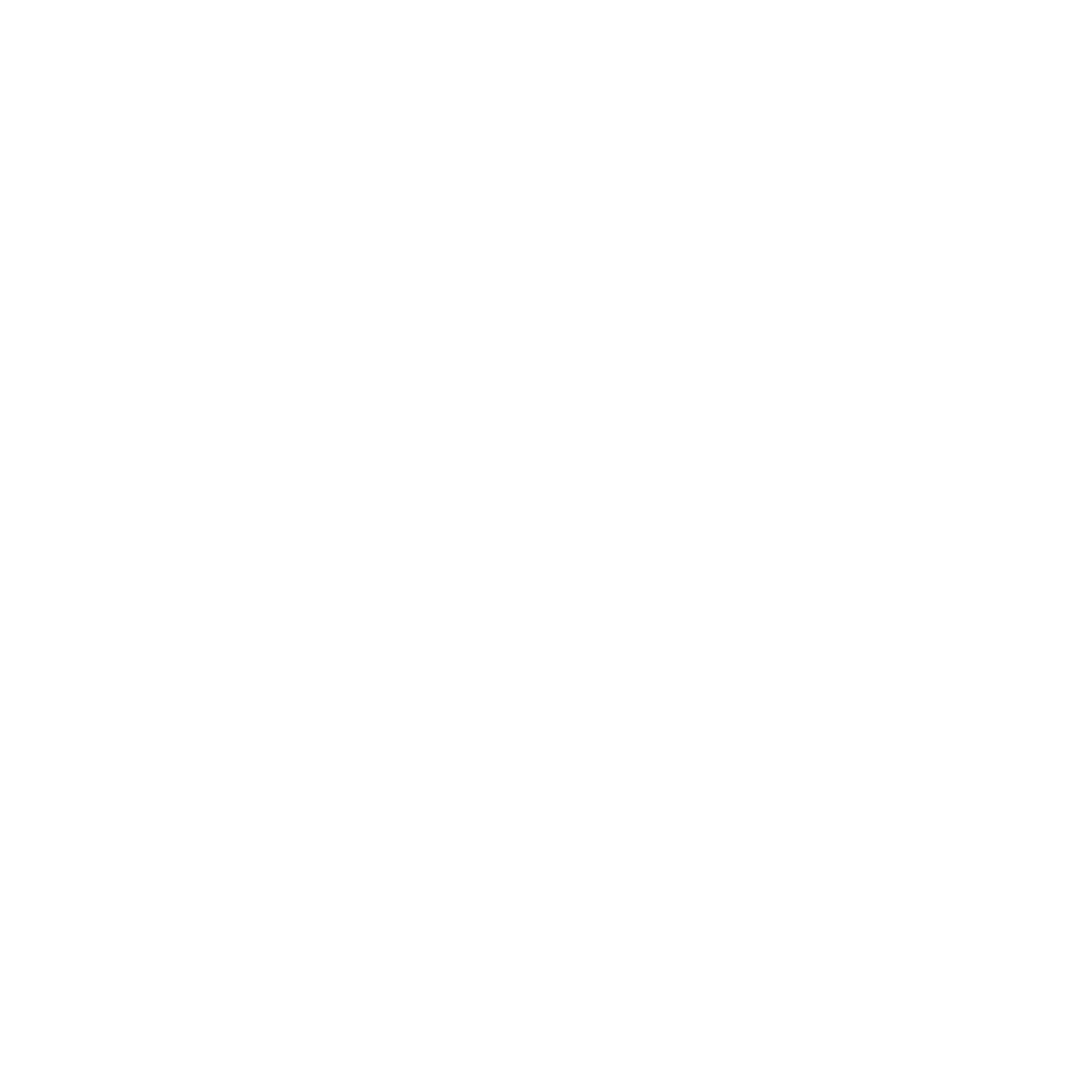 Misk foundation